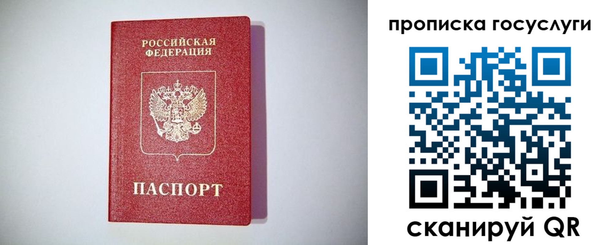 временная регистрация госуслуги в Скопине